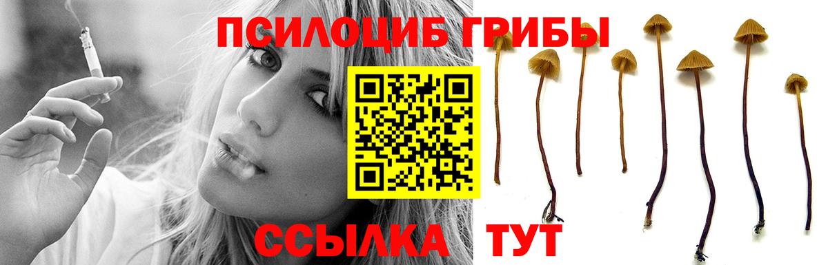 Галлюциногенные грибы прущие грибы  Псилоцибиновые грибы Psilocybine cubensis  Зеленодольск  Вход с VPN 